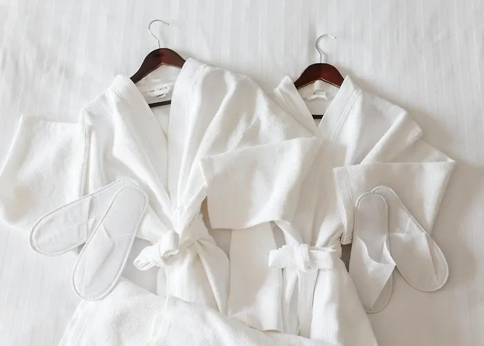 酒店 维达莱蓝道尔霍夫酒店