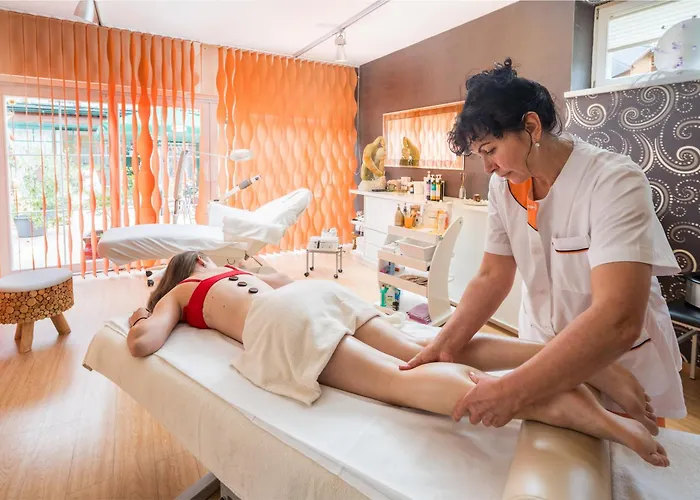 维达莱蓝道尔霍夫酒店 酒店