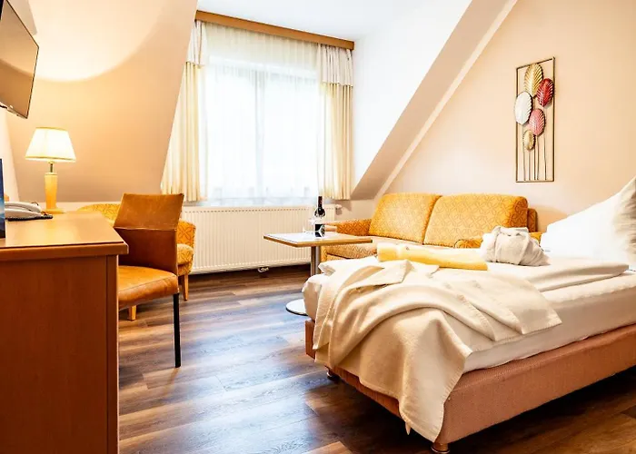 酒店 维达莱蓝道尔霍夫酒店 斯拉德明